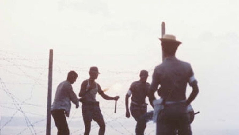 кадр из фильма Χάππυ Νταίη