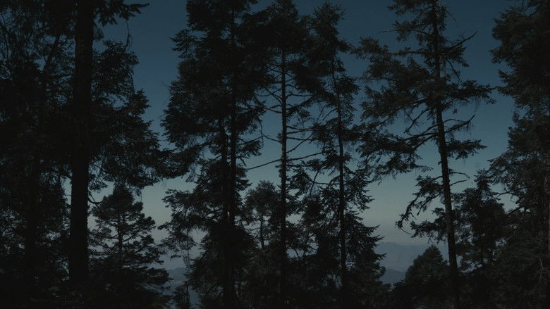 кадр из фильма Para atrapar el viento