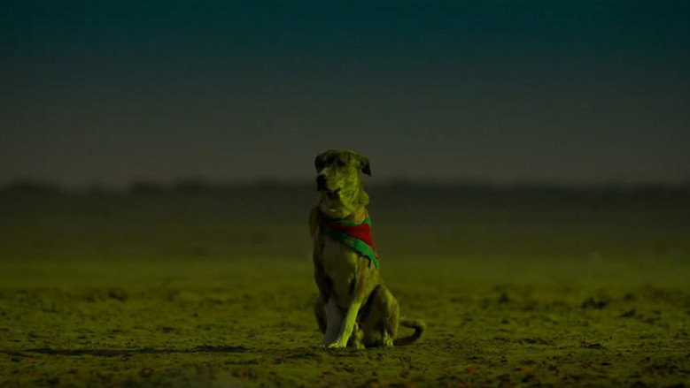 кадр из фильма Ohh My Dog