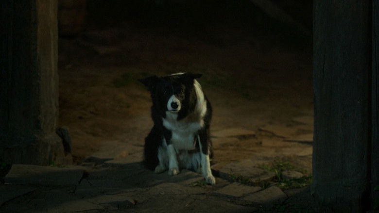 кадр из фильма Сестрёнка