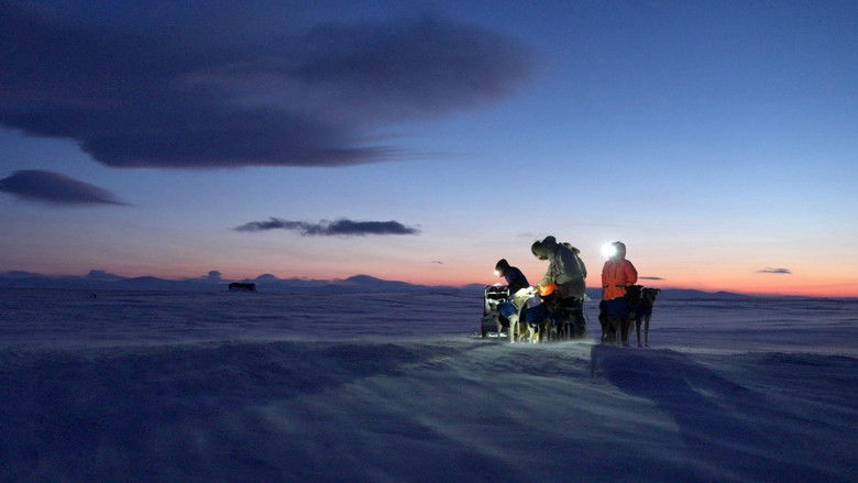 кадр из фильма Musher, l'appel de l'Alaska