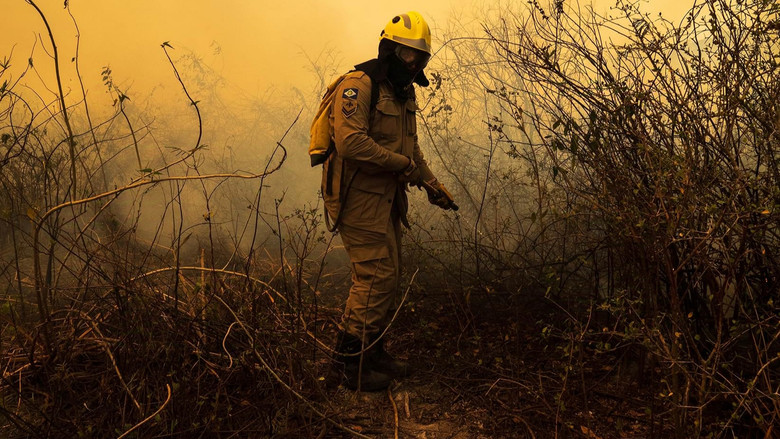 кадр из фильма Sinfonia da Sobrevivência