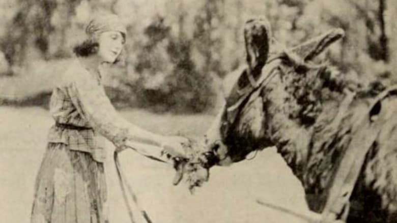 кадр из фильма The Only Road