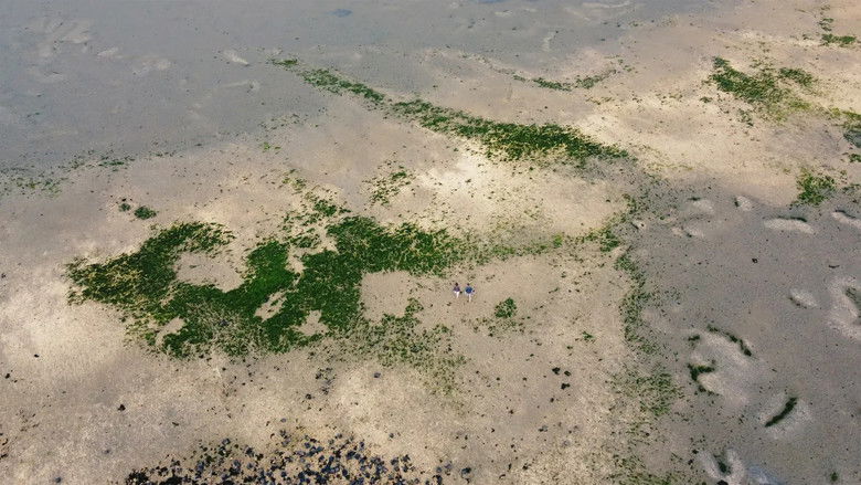 кадр из фильма A World to Shape