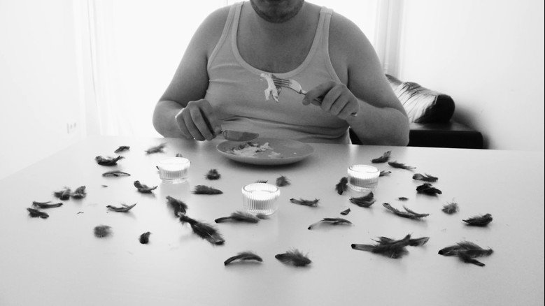 кадр из фильма Die Vögel 2