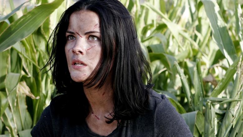 кадр из фильма Святое место