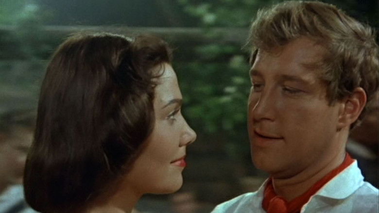 кадр из фильма Und ewig singen die Wälder