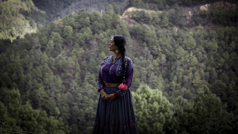 кадр из фильма Canto a La Memoria