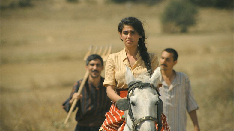 кадр из фильма Aşık