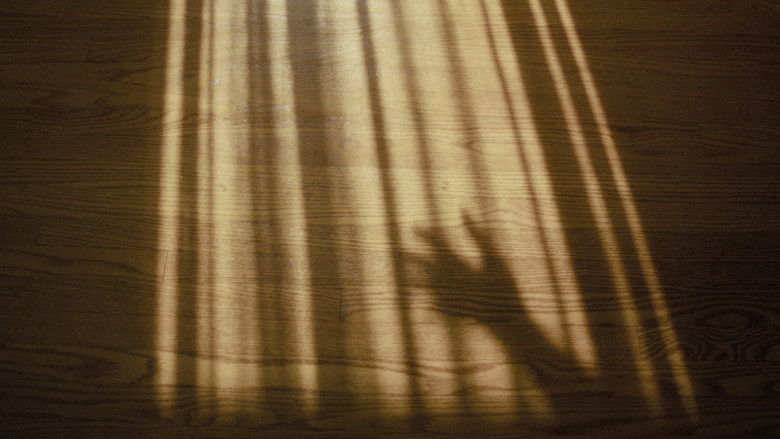 кадр из фильма Ընտանեկան Հարաման (Undanegan Haraman)