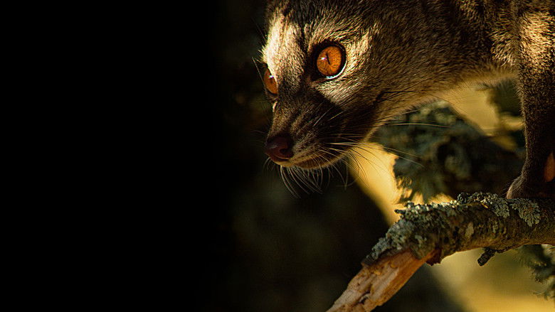 кадр из фильма Дикая Португалия