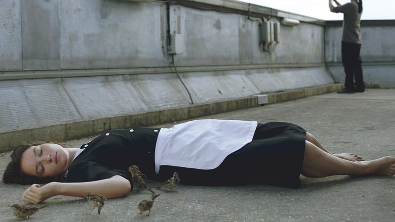 кадр из фильма Люди и птицы