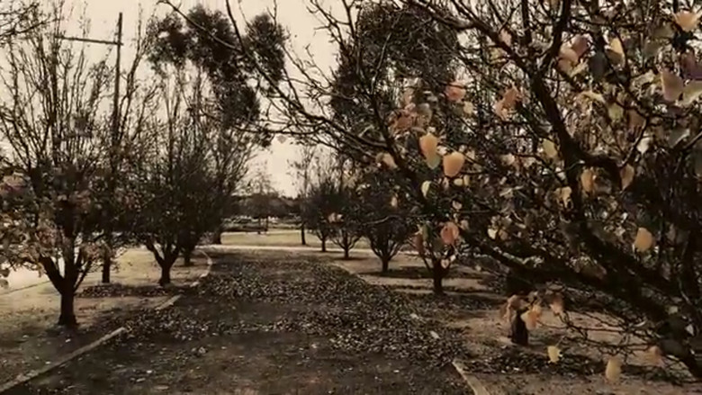 кадр из фильма Meshes of an Autumn Afternoon