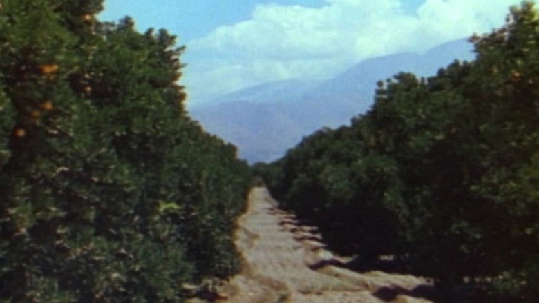 кадр из фильма Ramona