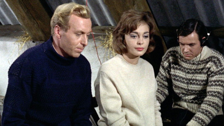 кадр из фильма Venus fra Vestø