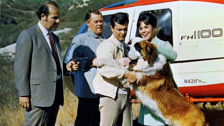 кадр из фильма My Dog, the Thief