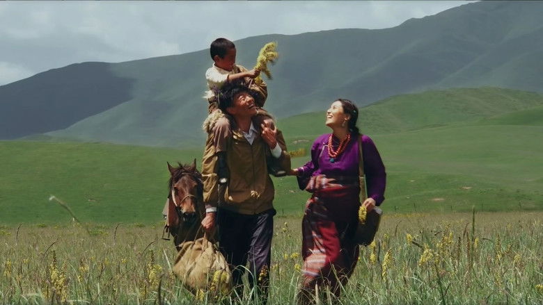 кадр из фильма 甘南情歌