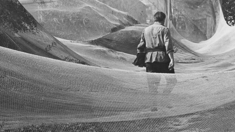 кадр из фильма Июнь, начало лета