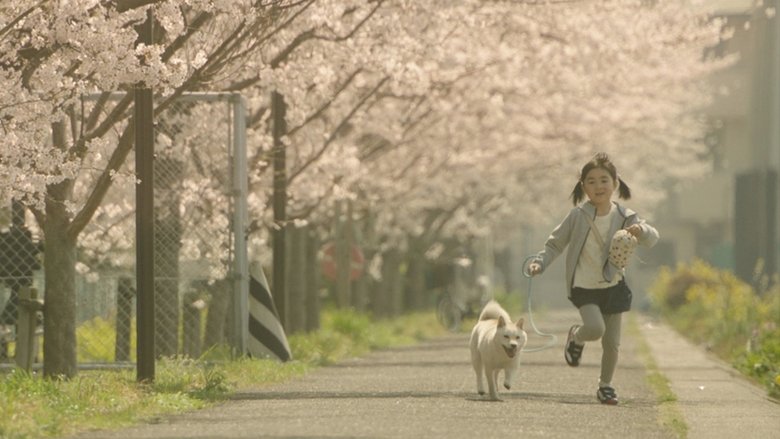 кадр из фильма 駅までの道をおしえて