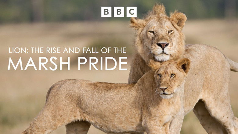 кадр из фильма Lion: The Rise and Fall of the Marsh Pride