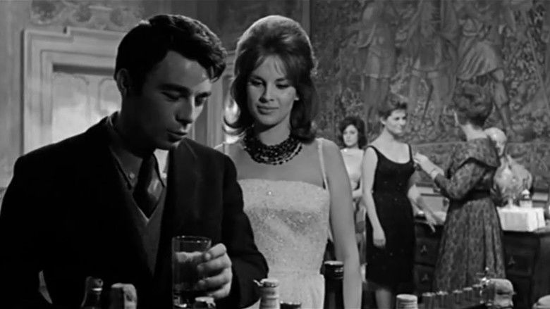 кадр из фильма I delfini