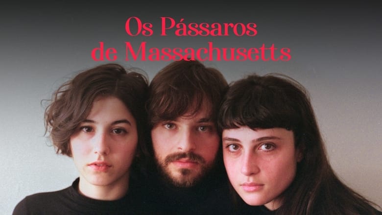 кадр из фильма Os Pássaros de Massachusetts
