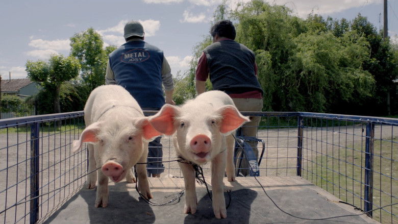 кадр из фильма Героические лузеры