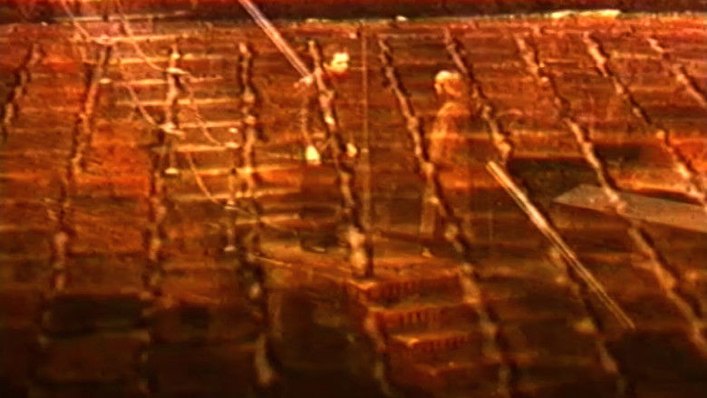 кадр из фильма Mirador