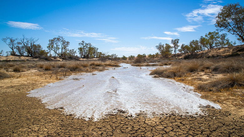 кадр из фильма And Then Came The Water
