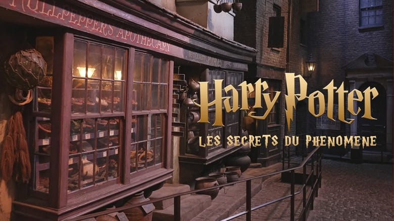 Harry Potter : les secrets du phénomène