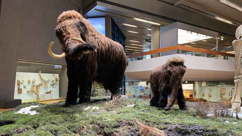 кадр из фильма Ein Mammut-Projekt – Wiedergeburt ausgestorbener Arten