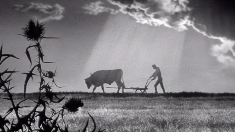 кадр из фильма Два мушкетёра