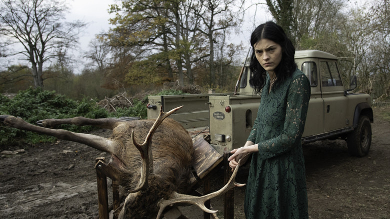 Перевёртыш