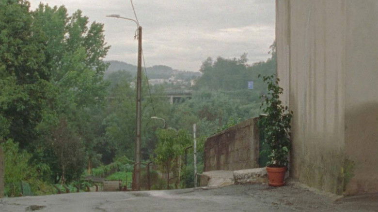 кадр из фильма Campos Belos