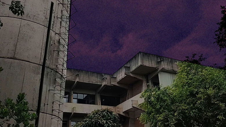 кадр из фильма NE. GA. ÇÃO