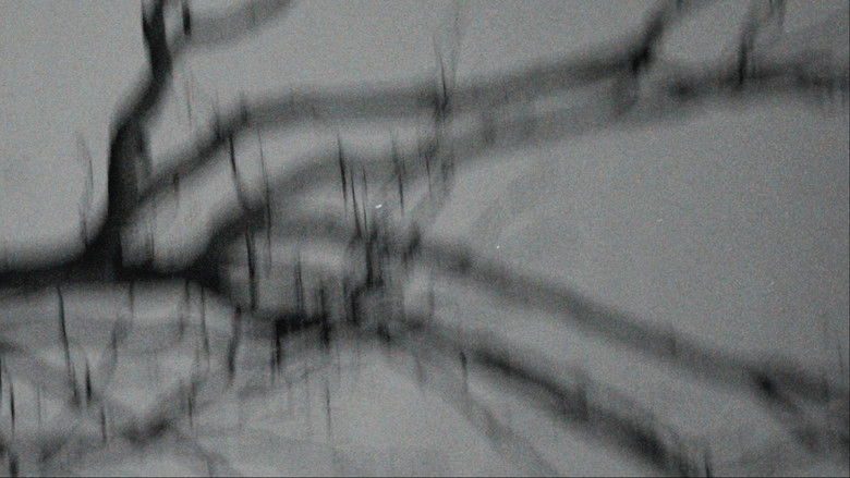 кадр из фильма Las Cosas Internacionales