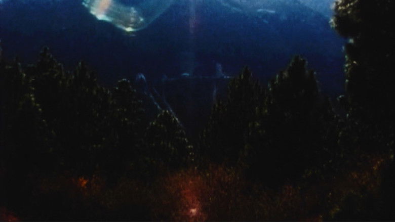 кадр из фильма De grote vakantie