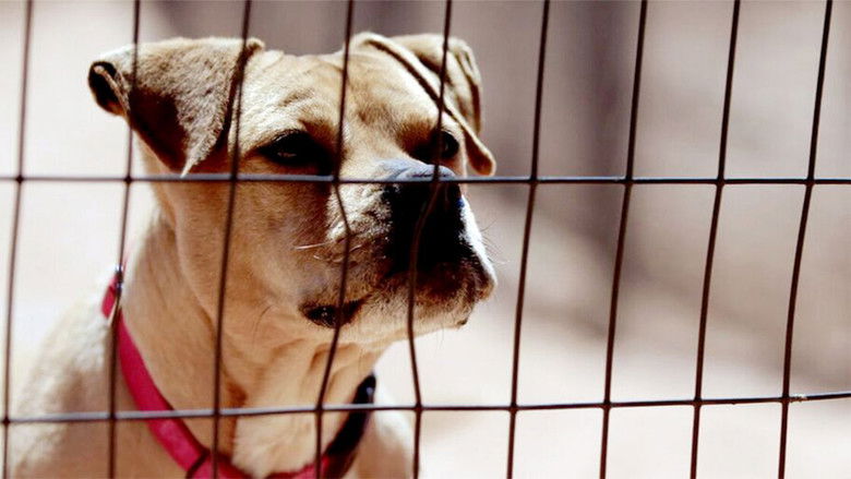 кадр из фильма The Champions