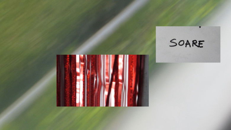 кадр из фильма de câteva săptămâni mă tot trezesc uitându-mă la pătura de la bunica