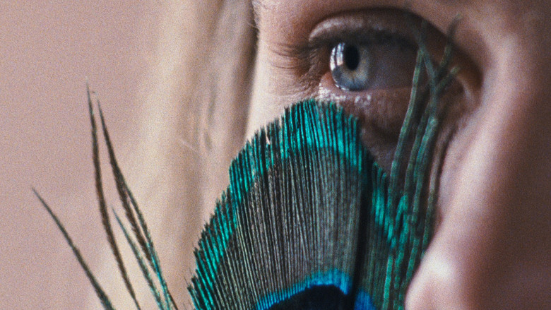 кадр из фильма Метаморфоза птиц