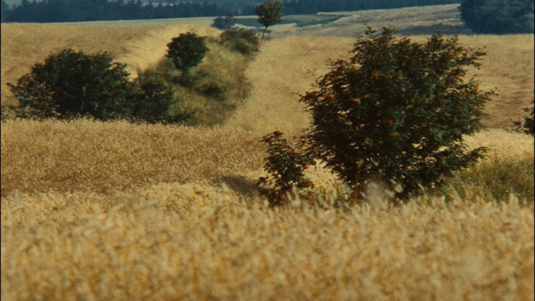 кадр из фильма Všichni dobří rodáci