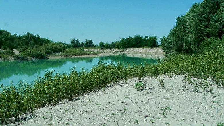кадр из фильма Il giardino nel paese del giardino