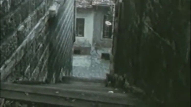 кадр из фильма Paranoja