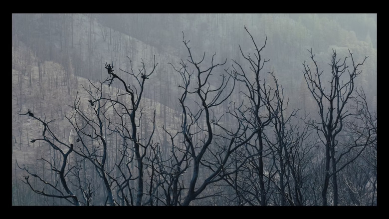 кадр из фильма Tuer la mort ?