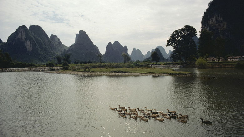 кадр из фильма Symphony for Our World