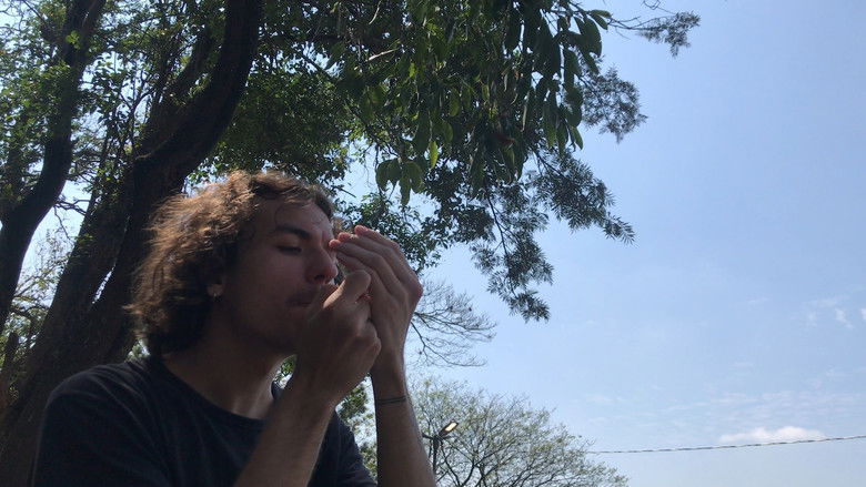 кадр из фильма MUNZIGER