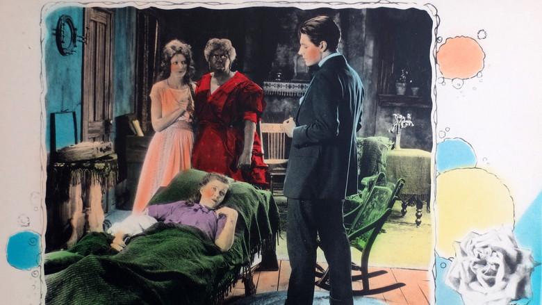 кадр из фильма The White Rose