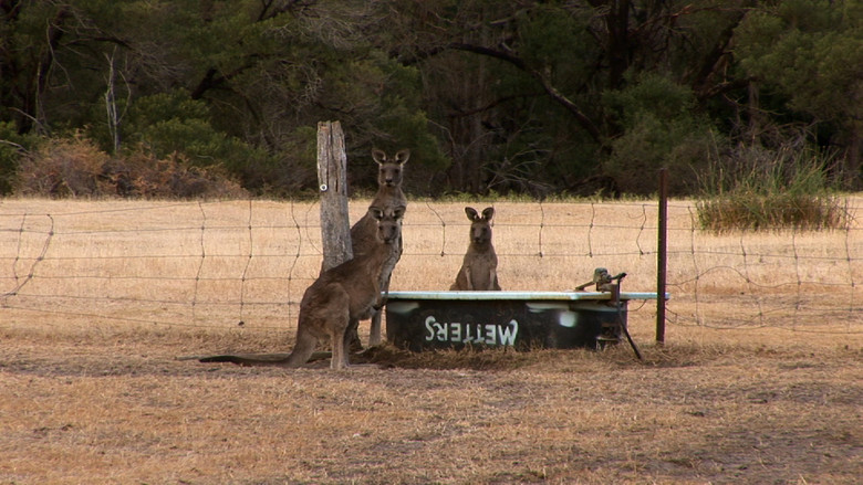кадр из фильма Suzy & The Simple Man
