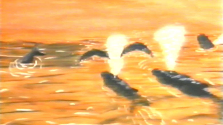 кадр из фильма Hampie - ein kleiner Wal entdeckt seine Welt