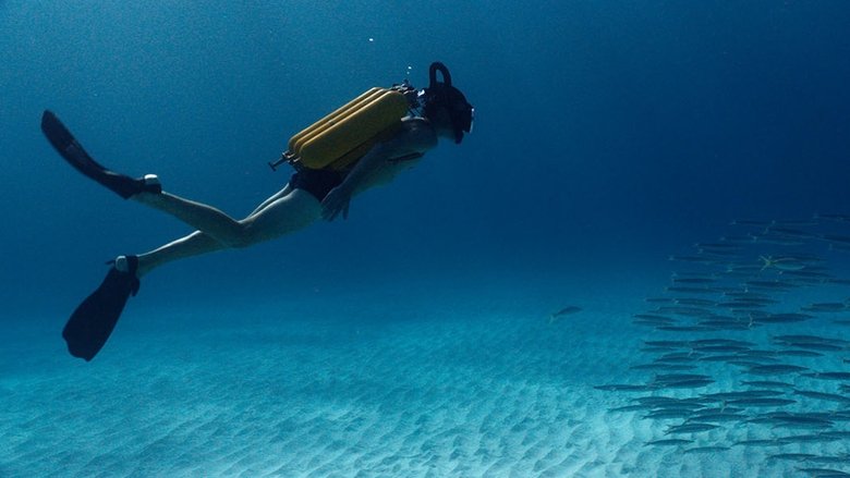 кадр из фильма Одиссея